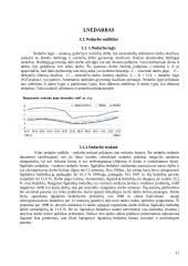 Pagrindiniai makroekonomikos rodikliai 10 puslapis