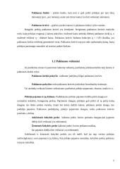 Paklausos, pasiūlos ir rinkos pusiausvyros analizės pagrindai 5 puslapis