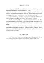 Paklausos, pasiūlos ir rinkos pusiausvyros analizės pagrindai 8 puslapis