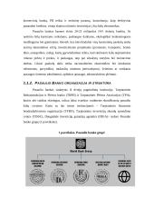 Pasaulio bankas ir Tarptautinis valiutos fondas (TVF) 4 puslapis