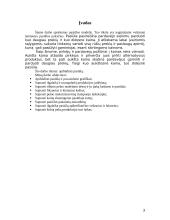 Pasiūla ir kaštai 3 puslapis