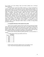 Pasiūla ir kaštai 6 puslapis