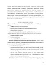 Pelno mokestis Lietuvoje 11 puslapis