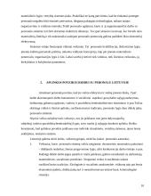 Personalo atrankos ypatumų teorinė analizė 11 puslapis