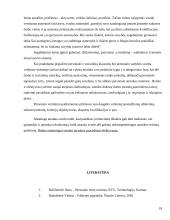 Personalo atrankos ypatumų teorinė analizė 19 puslapis