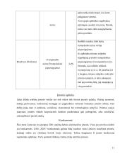 Personalo mokymo sistema: UAB "X" 11 puslapis
