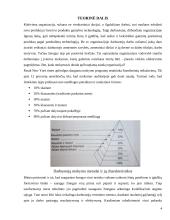 Personalo mokymo sistema: UAB "X" 4 puslapis