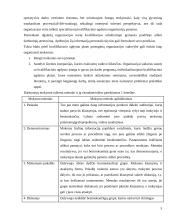 Personalo mokymo sistema: UAB "X" 5 puslapis