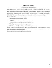 Personalo mokymo sistema: UAB "X" 9 puslapis