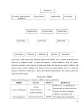 Personalo mokymo sistema: UAB "X" 10 puslapis