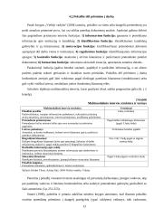 Personalo parinkimo apžvalga 13 puslapis