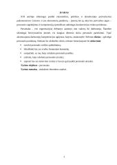 Personalo parinkimo apžvalga 3 puslapis