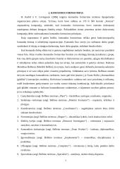 Personalo parinkimo apžvalga 7 puslapis