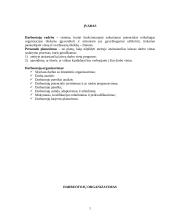 Personalo skyriaus organizavimas