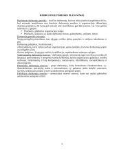 Personalo skyriaus organizavimas 4 puslapis