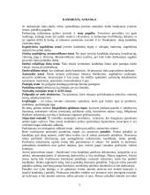 Personalo skyriaus organizavimas 5 puslapis