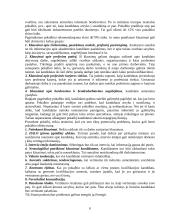 Personalo skyriaus organizavimas 6 puslapis