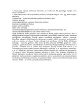 Personalo skyriaus organizavimas 8 puslapis