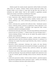 Problemos personalo vadyboje 4 puslapis