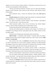Personalo vadyba bendrovėje 19 puslapis