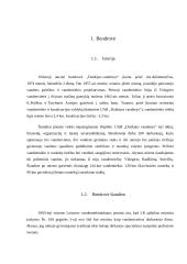Personalo valdymas: UAB "Dzūkijos vandenys" 4 puslapis