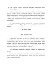 Personalo valdymas: UAB "Dzūkijos vandenys" 9 puslapis