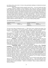 Pinigai bei bankai 11 puslapis