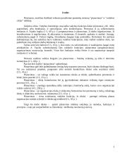 Planavimas - vadybos ciklo pradžia 3 puslapis