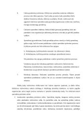 Planavimas, planavimo principai 12 puslapis