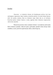 Planavimas, planavimo principai 3 puslapis