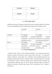 Planavimas, planavimo principai 6 puslapis