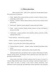 Planavimas, planavimo principai 9 puslapis