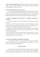 Planavimas ir prognozavimas 11 puslapis