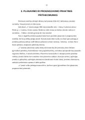 Planavimas ir prognozavimas 13 puslapis