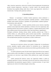 Planavimas ir prognozavimas 8 puslapis