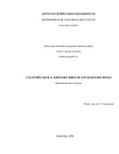 Valstybės skola - didėjimo ribos ir jos mažinimo būdai