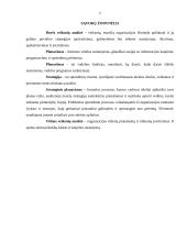 Planavimo proceso organizavimo būdai įmonėse 2 puslapis