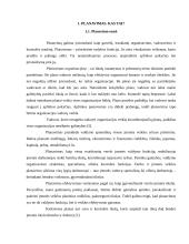 Planavimo proceso organizavimo būdai įmonėse 4 puslapis