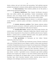 Planavimo proceso organizavimo būdai įmonėse 8 puslapis