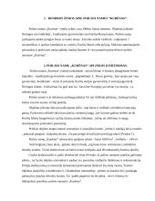 Poilsio namų "Kurėnas" analizė ir vertinimas 3 puslapis