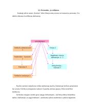 Poilsio namų "Kurėnas" analizė ir vertinimas 6 puslapis