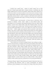 Pokomunistinė transformacija politikoje ir ekonomikoje 2 puslapis