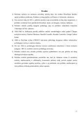 Politikos mokslo išanalizavimas 13 puslapis