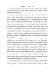 Politikos mokslo išanalizavimas 3 puslapis