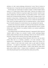 Politikos mokslo išanalizavimas 4 puslapis