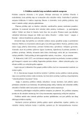 Politikos mokslo išanalizavimas 9 puslapis