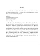 Politinės kultūros apžvalga 13 puslapis