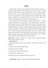 Politinės kultūros apžvalga 3 puslapis