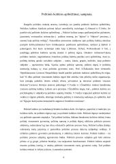Politinės kultūros apžvalga 4 puslapis