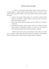 Politinės kultūros apžvalga 6 puslapis
